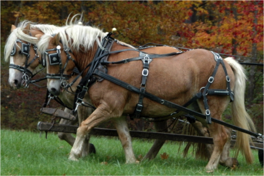 Getting Around / Transportation Washington Township Museum of Local