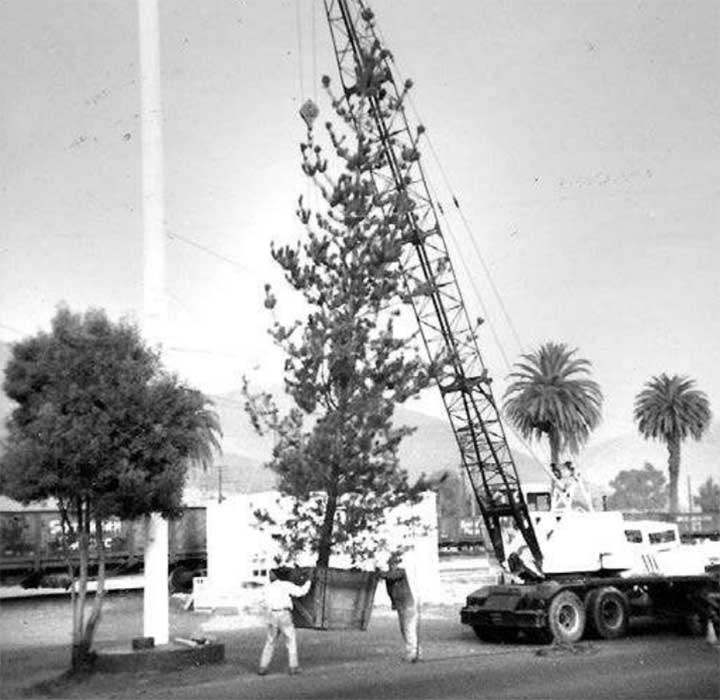 TriCity History Queries Washington Township Museum of Local History